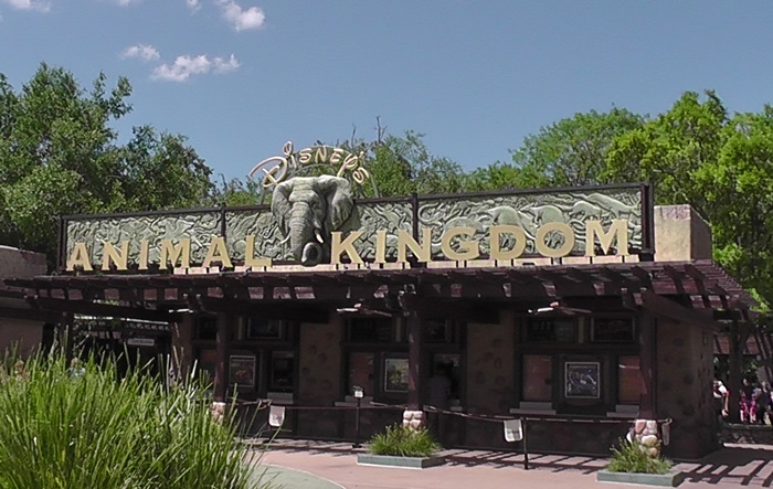 animalkingdom_1
